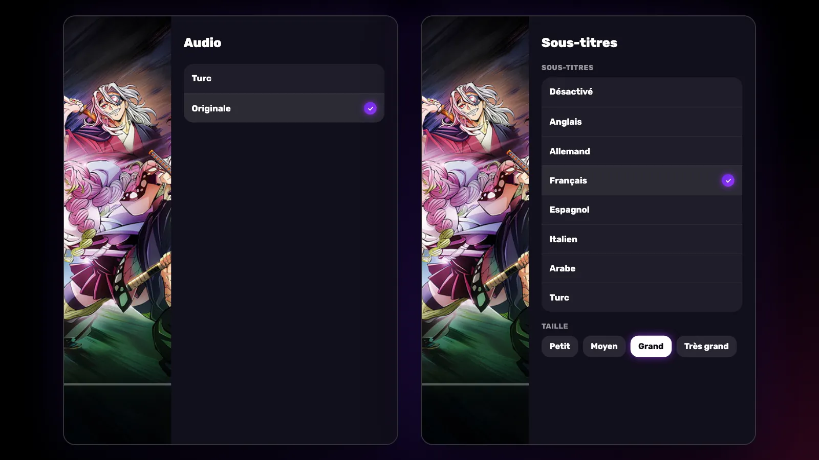 Deux panneaux du lecteur TV : Audio propose le doublage turc et la version originale, Sous-titres sept langues.